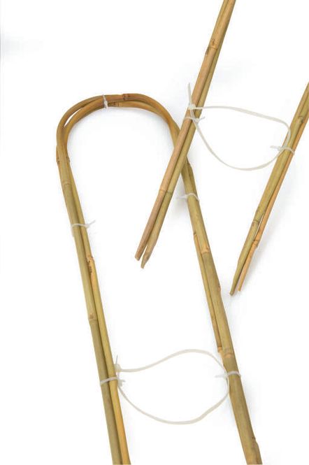Hovedbilde Bambusbue Nelson medium