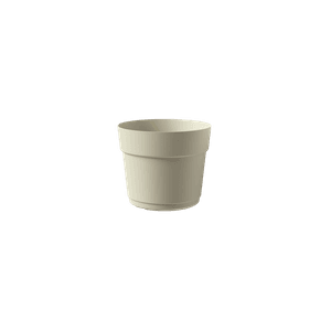 Hovedbilde BLOOM 38 MILK