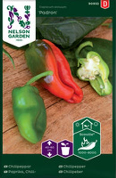 Chilipepper, Padron