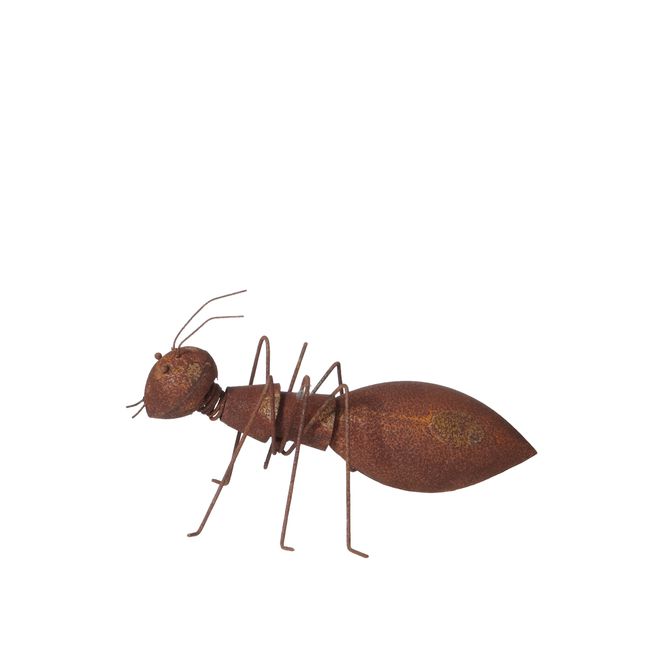 Hovedbilde ANT Rust