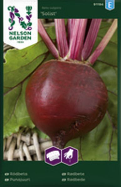 Agurk, Friland 'Tanja'