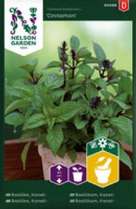Hovedbilde Basilikum, Kanel-, Cinnamon