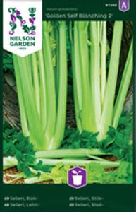 Hovedbilde Selleri, Stilk-, Golden Self Blanching 2