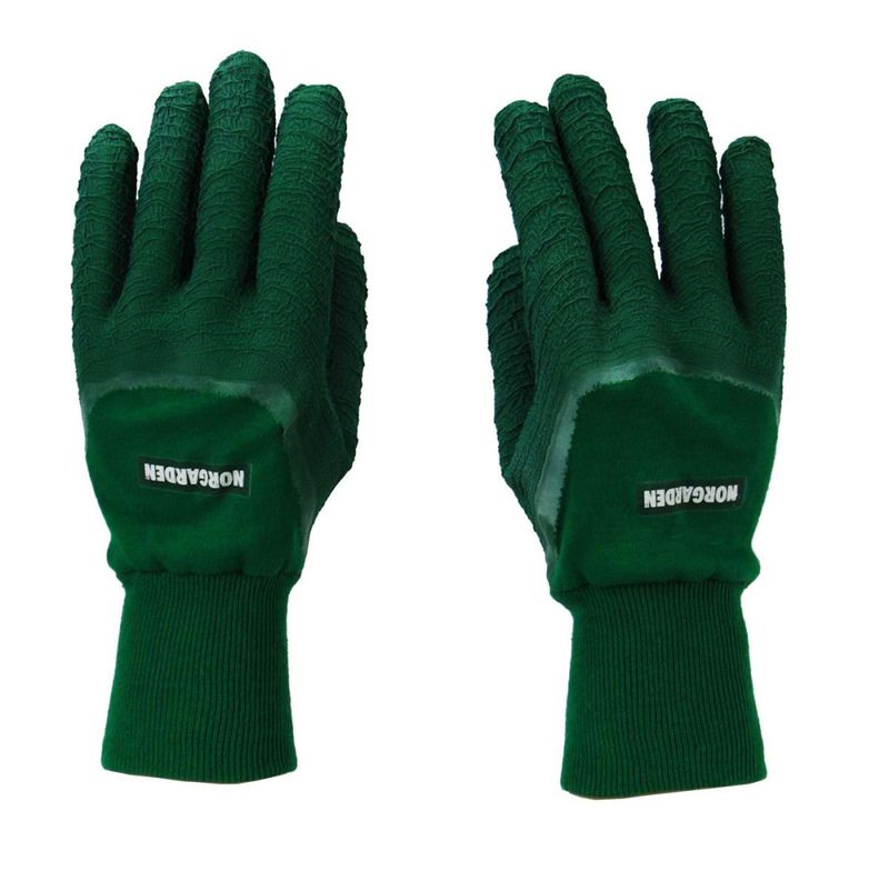Rosehanske grønn large 400302