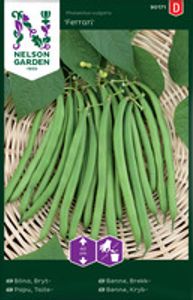 Hovedbilde B&oslash;nne, Brekk-, Ferrari