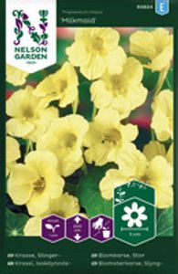 Hovedbilde Blomkarse, Stor, Milkmaid