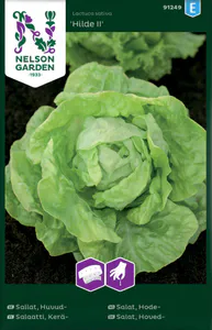 Hovedbilde Hode salat 'Hilde II' 